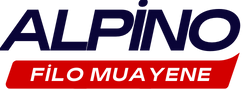 ALPİNO FİLO KİRALAMA SANAYİ TİCARET LİMİTED ŞİRKETİ